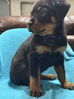 processed/374464f2-2731-44d3-bf13-9f4bd9d69bed/listing/82529ae9-25b2-44cc-8c39-d294681e0ed2/b47eba6f-2aa8-4502-a839-b5c0137f5d65