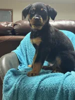 processed/374464f2-2731-44d3-bf13-9f4bd9d69bed/listing/8cfb248b-b3c9-4547-9516-855a94665aab/4649559b-fbd4-4ae4-b82c-3ffcb7c391b0