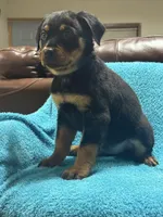 processed/374464f2-2731-44d3-bf13-9f4bd9d69bed/listing/8cfb248b-b3c9-4547-9516-855a94665aab/824a9ffe-9d2f-471b-a7f6-23f902f428f3