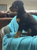 processed/374464f2-2731-44d3-bf13-9f4bd9d69bed/listing/8cfb248b-b3c9-4547-9516-855a94665aab/e2d5dcd4-b23c-4af6-a970-a38a99ccdabe