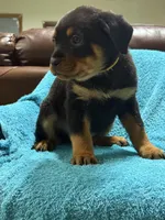 processed/374464f2-2731-44d3-bf13-9f4bd9d69bed/listing/b5ccda83-8cdd-4d80-ba6c-4acb744c76c7/16eef8e9-3ff6-47da-b239-78a3e8a91638