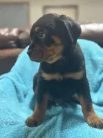 processed/374464f2-2731-44d3-bf13-9f4bd9d69bed/listing/bb273bc4-bdf4-43c5-a918-86849950dbfb/395ab1d8-7b22-4a51-9fc3-96fafc1b58fd