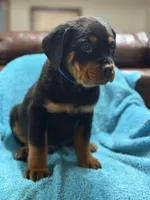 processed/374464f2-2731-44d3-bf13-9f4bd9d69bed/listing/bb273bc4-bdf4-43c5-a918-86849950dbfb/885d2a24-9940-4e2f-8d5e-9b06fa7e4280