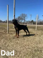 processed/374464f2-2731-44d3-bf13-9f4bd9d69bed/listing/eab66edf-429b-4de9-9486-11501270d91a/2832792f-3000-465b-8c27-a77b1e20cc09