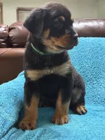 processed/374464f2-2731-44d3-bf13-9f4bd9d69bed/listing/eab66edf-429b-4de9-9486-11501270d91a/e7422cc4-198f-41f3-88e0-793fd048c970