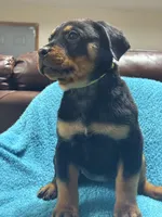 processed/374464f2-2731-44d3-bf13-9f4bd9d69bed/listing/fa7888ac-b11b-4bc0-907a-5dd2d6f3e6ce/041431a9-1ca5-4d4e-b250-1e8e5ee13db6