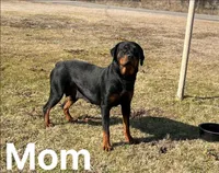 processed/374464f2-2731-44d3-bf13-9f4bd9d69bed/listing/fa7888ac-b11b-4bc0-907a-5dd2d6f3e6ce/7503cf0a-4f65-46b1-bc56-2832716614de