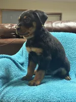 processed/374464f2-2731-44d3-bf13-9f4bd9d69bed/listing/fa7888ac-b11b-4bc0-907a-5dd2d6f3e6ce/937db226-68ab-45d6-bc71-e00c84b90d89