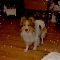 processed/374a3606-43d2-4683-b064-7862a4293dd7/facility/4a469ed8-e86b-4d55-b786-db350e78786b