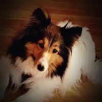 processed/374a3606-43d2-4683-b064-7862a4293dd7/facility/4bc844f9-c410-47af-a4a9-97f3eedc7b9a