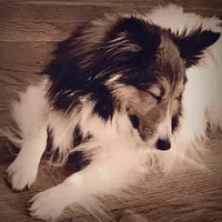 processed/374a3606-43d2-4683-b064-7862a4293dd7/facility/9f5344ec-dcfe-4e42-aa9e-4c34cfccf8c1