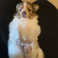 processed/374a3606-43d2-4683-b064-7862a4293dd7/facility/a20be00f-9156-41b0-979e-414e584e3878