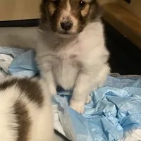 processed/374a3606-43d2-4683-b064-7862a4293dd7/facility/efb7d778-b18c-4f1b-a9ca-0bf576023e02