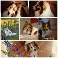 processed/374a3606-43d2-4683-b064-7862a4293dd7/listing/1e35b950-801a-41d5-b8b8-2e9e72b81e0d/4a420317-51be-45a8-82f0-422f5d02a00f