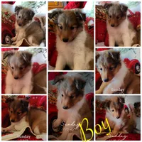 processed/374a3606-43d2-4683-b064-7862a4293dd7/listing/1e35b950-801a-41d5-b8b8-2e9e72b81e0d/6a2cfa2e-3872-4b8d-938c-7bb19302e787