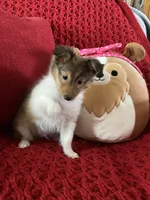 processed/374a3606-43d2-4683-b064-7862a4293dd7/listing/1e35b950-801a-41d5-b8b8-2e9e72b81e0d/8fc57306-2e7a-4e1b-a187-f92efb14a8dd