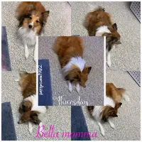 processed/374a3606-43d2-4683-b064-7862a4293dd7/listing/1e35b950-801a-41d5-b8b8-2e9e72b81e0d/9763270c-6d08-4968-aea3-22475c4cd6f0