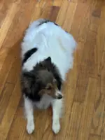 processed/374a3606-43d2-4683-b064-7862a4293dd7/listing/c8647e34-e3f9-49f4-9c38-c7ec0eff6352/9a15501c-640e-417b-894e-011fe6c112b3