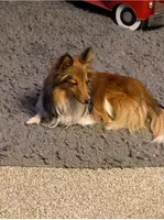 processed/374a3606-43d2-4683-b064-7862a4293dd7/listing/c8647e34-e3f9-49f4-9c38-c7ec0eff6352/b4fbdd41-b5ad-4a28-adf4-708f96b281c6