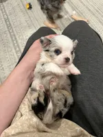 processed/374b8753-6df1-4448-b051-6876aed74034/listing/b273ea7e-05fe-401b-baa3-1e2414edeb2c/32afabb2-2c09-4d3c-a1ea-bbc270340f56