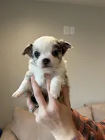 processed/374b8753-6df1-4448-b051-6876aed74034/listing/b273ea7e-05fe-401b-baa3-1e2414edeb2c/6f56bb5d-fb5c-4194-a887-98694995e927