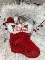 processed/374b8753-6df1-4448-b051-6876aed74034/listing/b273ea7e-05fe-401b-baa3-1e2414edeb2c/77b86403-34ee-42b4-a35a-e5bfc8643c2f