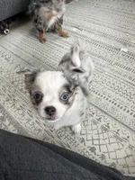 processed/374b8753-6df1-4448-b051-6876aed74034/listing/b273ea7e-05fe-401b-baa3-1e2414edeb2c/c2817c38-571e-4ed4-a2b6-e6be35079f28