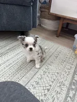 processed/374b8753-6df1-4448-b051-6876aed74034/listing/b273ea7e-05fe-401b-baa3-1e2414edeb2c/debc6d58-fca0-4de1-bb8a-73b62dfd759a