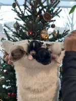 processed/374b8753-6df1-4448-b051-6876aed74034/listing/b273ea7e-05fe-401b-baa3-1e2414edeb2c/e78f109b-ea1f-49b2-9b89-69e60181a542