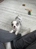 processed/374b8753-6df1-4448-b051-6876aed74034/listing/b273ea7e-05fe-401b-baa3-1e2414edeb2c/ee52ec02-ad7e-4475-a01d-ca1e16c6f6fd