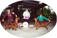 processed/37562a30-0cf0-4cb3-b1bd-c33d5ed3ea4a/facility/278a10d9-daee-4ef8-b6a7-0c654b71d18c