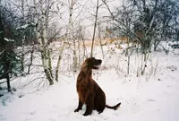 processed/37562a30-0cf0-4cb3-b1bd-c33d5ed3ea4a/facility/4a1459af-4e84-4fba-9e67-0203e51baefb