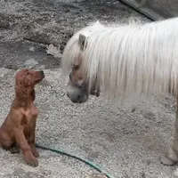 processed/37562a30-0cf0-4cb3-b1bd-c33d5ed3ea4a/facility/51a437ae-c03b-41d7-b6e2-71b2d7141ba0