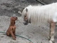 processed/37562a30-0cf0-4cb3-b1bd-c33d5ed3ea4a/facility/51a437ae-c03b-41d7-b6e2-71b2d7141ba0