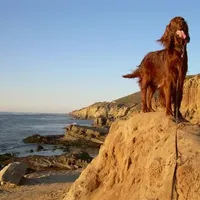 processed/37562a30-0cf0-4cb3-b1bd-c33d5ed3ea4a/facility/60d73641-1874-4e51-9702-d7115b0e2622