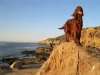 processed/37562a30-0cf0-4cb3-b1bd-c33d5ed3ea4a/facility/60d73641-1874-4e51-9702-d7115b0e2622