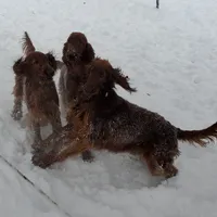 processed/37562a30-0cf0-4cb3-b1bd-c33d5ed3ea4a/facility/86905c90-ed91-4086-9093-a32bd4e7525d