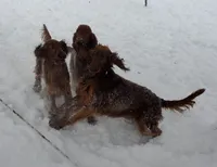 processed/37562a30-0cf0-4cb3-b1bd-c33d5ed3ea4a/facility/86905c90-ed91-4086-9093-a32bd4e7525d