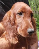 processed/37562a30-0cf0-4cb3-b1bd-c33d5ed3ea4a/listing/2d68de68-1b23-4055-b46f-19727cc06356/17bed006-1c51-498f-9c90-41283d048067