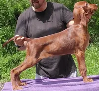 processed/37562a30-0cf0-4cb3-b1bd-c33d5ed3ea4a/listing/2d68de68-1b23-4055-b46f-19727cc06356/4c4b30ad-0064-47bf-b173-3908a88bd618