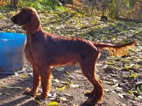 processed/37562a30-0cf0-4cb3-b1bd-c33d5ed3ea4a/listing/2d68de68-1b23-4055-b46f-19727cc06356/4d4335fd-1a21-4871-9f55-94ef5047da97