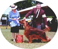 processed/37562a30-0cf0-4cb3-b1bd-c33d5ed3ea4a/listing/48e2a76e-6b9c-4bbf-b5bc-45e74f6c06c3/9a64c54d-537e-4cbe-bc4d-be1842260caf