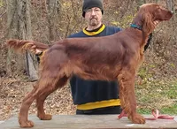 processed/37562a30-0cf0-4cb3-b1bd-c33d5ed3ea4a/listing/48e2a76e-6b9c-4bbf-b5bc-45e74f6c06c3/efa434a1-2909-4143-9e06-12dde3096d40