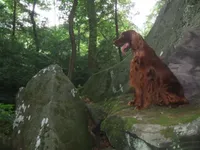 processed/37562a30-0cf0-4cb3-b1bd-c33d5ed3ea4a/listing/48e2a76e-6b9c-4bbf-b5bc-45e74f6c06c3/f49c7bd5-347d-4eb8-ad77-46e4e766df97