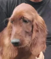 processed/37562a30-0cf0-4cb3-b1bd-c33d5ed3ea4a/listing/62b45a28-e5a4-4e43-8462-b5a5a4d7a142/8e60dc78-a0b5-42c5-8a1f-1d3bf8e667b3