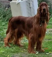 processed/37562a30-0cf0-4cb3-b1bd-c33d5ed3ea4a/listing/62b45a28-e5a4-4e43-8462-b5a5a4d7a142/97a13412-f522-44bb-8ed5-5ef0b221381c