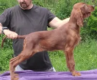 processed/37562a30-0cf0-4cb3-b1bd-c33d5ed3ea4a/listing/62b45a28-e5a4-4e43-8462-b5a5a4d7a142/b92e13f4-916c-4ccd-b97e-a6b96f21a169