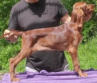 processed/37562a30-0cf0-4cb3-b1bd-c33d5ed3ea4a/listing/79c831f6-2f3c-4240-92d3-32b56d379fd7/16eff12a-a9f2-4fb3-af88-40ae4f855e30