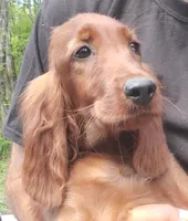 processed/37562a30-0cf0-4cb3-b1bd-c33d5ed3ea4a/listing/79c831f6-2f3c-4240-92d3-32b56d379fd7/e8882ca9-2bd0-42b3-a5fb-e23244d8c2d0