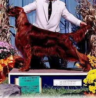 processed/37562a30-0cf0-4cb3-b1bd-c33d5ed3ea4a/listing/b75c8639-e266-4895-acb0-15d534280539/26319ce4-2f61-47ad-9441-e9148e73693f